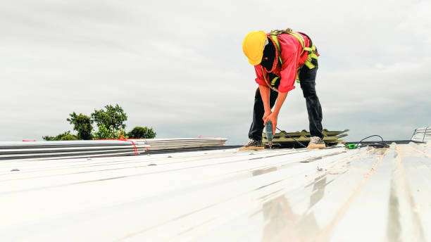 Best Roof Insulation Installation  in South San Gabriel, CA